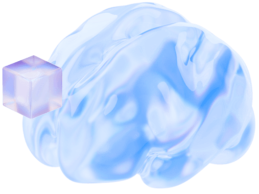 Layer 6